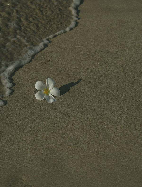 cove-home-hiriketiya-slider16