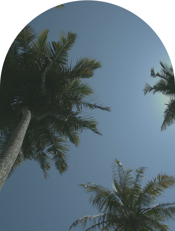 cove-home-hiriketiya-slider9